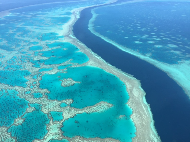 الحاجز المرجاني الأسترالي العظيم مدرج في قائمة اليونسكو للتراث العالمي للإنسانية 