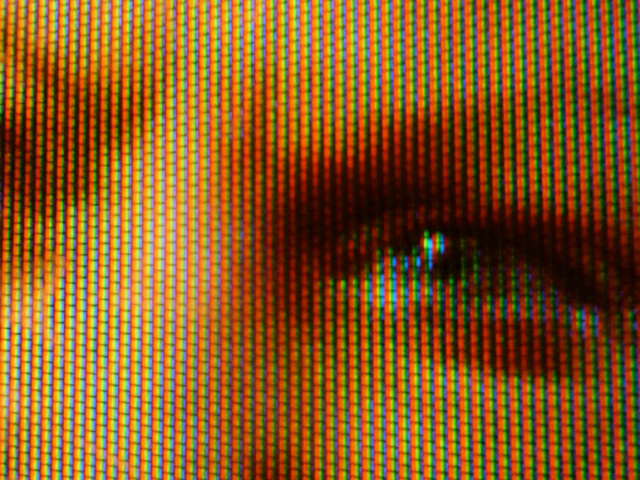 البشر لديهم ثلاثة مخاريط لونية في شبكية العين، حساسة للضوء الأحمر والأخضر والأزرق (ويكيبيديا)