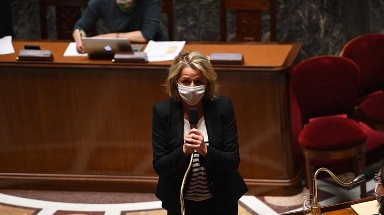 بربارا بومبيلي، وزيرة البيئة الفرنسية أمام مجلس النواب