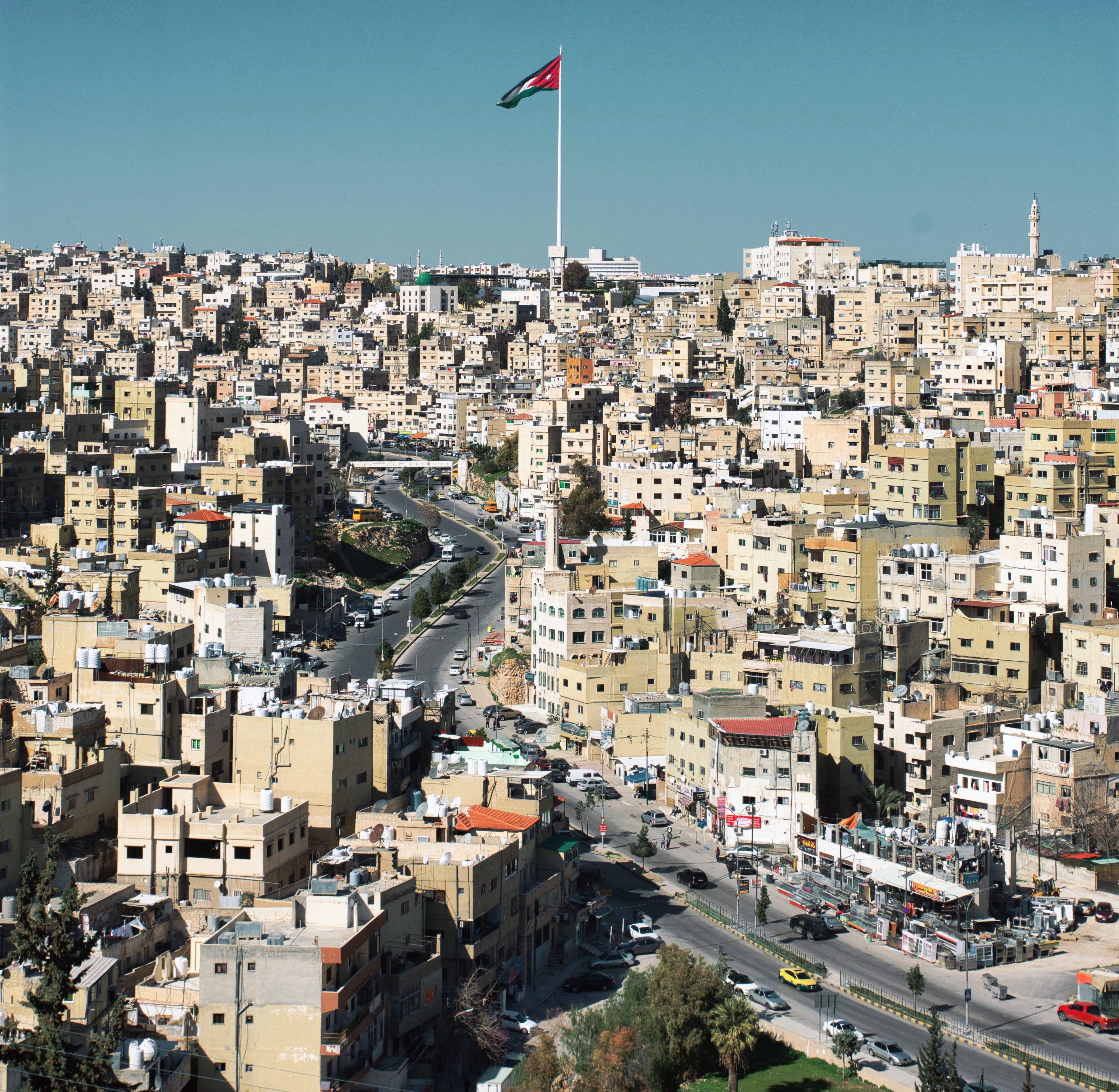 الصفدي: القضية الفلسطينية ستبقى أولوية الأردن (مواقع التواصل)