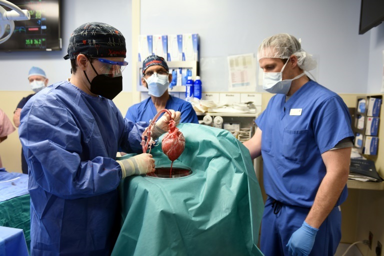 جراحون زرعوا للمرة الأولى قلب خنزير في جسم إنسان في السابع من كانون الثاني/يناير 2022 في بالتيمور بولاية ميريلاند (ا ف ب)