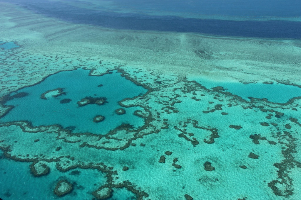    لقطة جوية تظهر حيزا من الحاجز المرجاني العظيم في 20 تشرين الثاني/نوفمبر 2014 (أ ف ب)