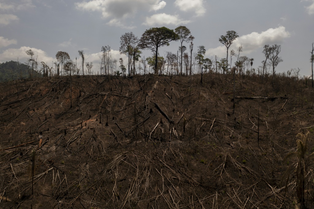 أراض محروقة بالقرب من بلدة ساو فيليكس دو كزينغو البرازيلية في زيادة كبيرة لنسبة إزالة الغابات (ا ف ب)