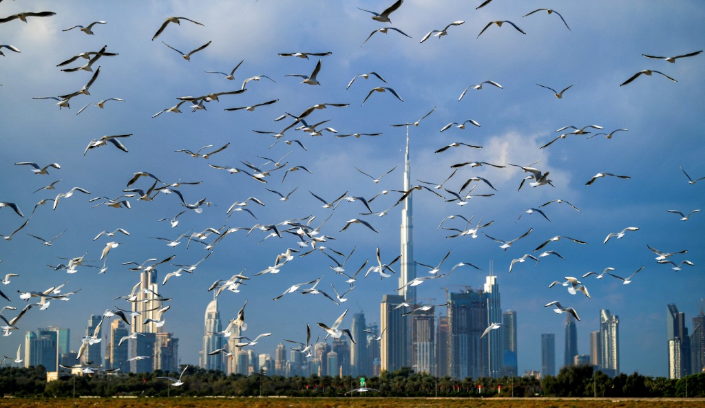مبان في دبي في 8 كانون الثاني/ديسمبر 2020(ا ف ب)
