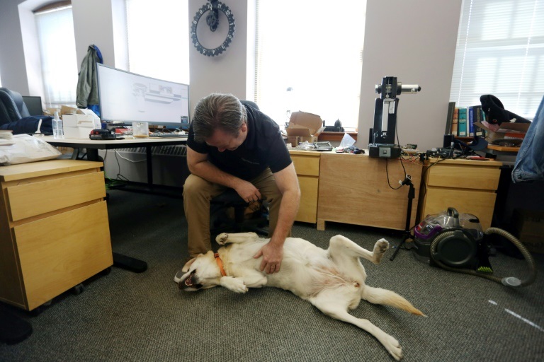 الكلبة "دايزي" مع صاحبها دايف ماكولن في مكاتب شركة "تانغستن كولابورايتف" في اوتوا الكندية في 5 أيار/مايو 2022 (ا ف ب)