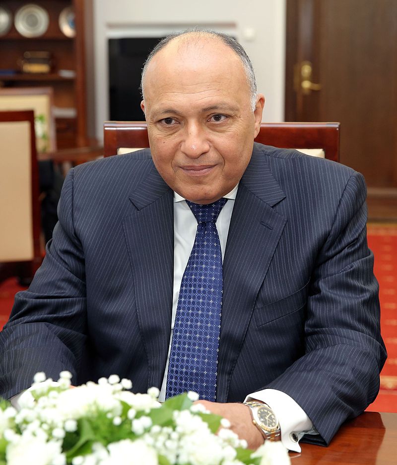 وزير الخارجية  المصري سامح شكري (ويكبيديا)