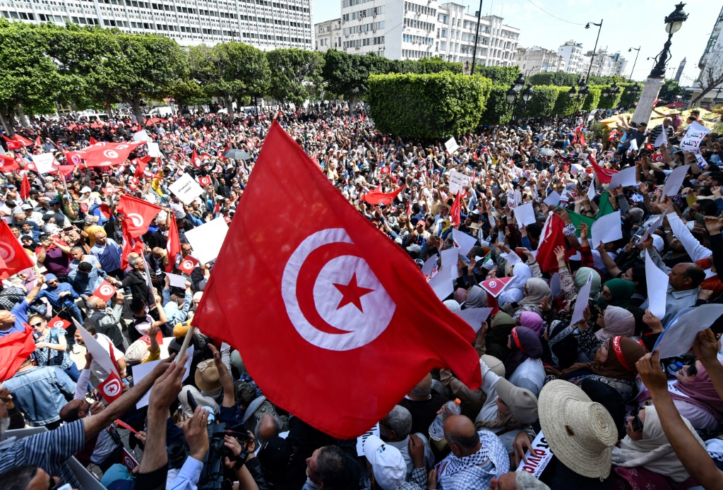 مسيرة للحزب الدستوري الحر في تونس مناهضة للاستفتاء (ا ف ب)