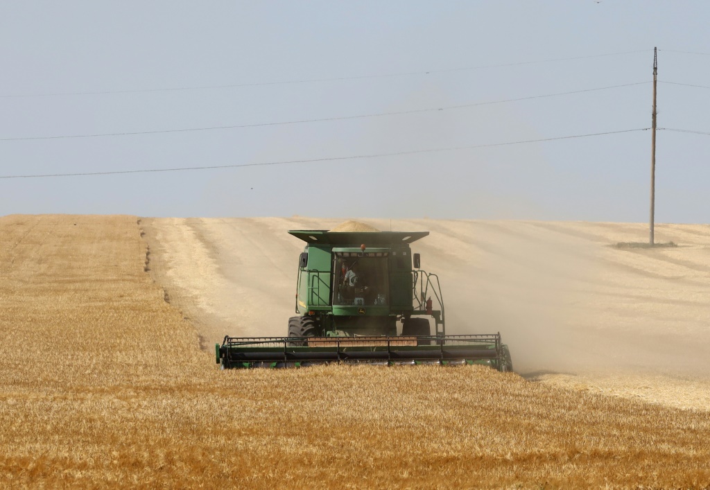 مزارع يحصد محصوله من القمح في حقل قرب ازمايل في منطقة أوديسا الأوكرانية في 14 حزيران/يونيو 2022 في ظل الهجوم الروسي على البلد (ا ف ب)