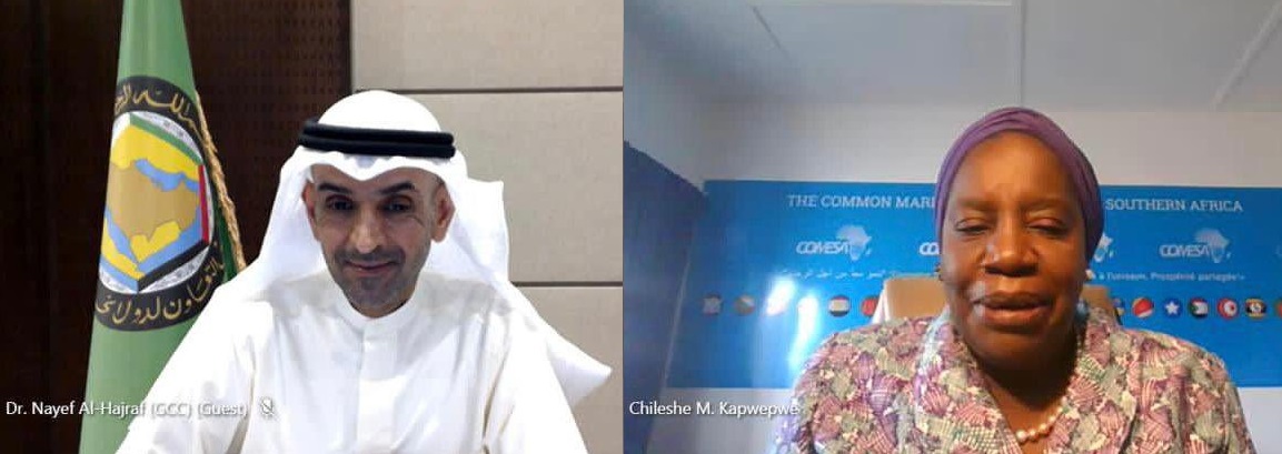 الأمين العام لـ #مجلس_التعاون الخليجي يبحث تطوير التعاون الاقتصادي والتنموي مع الأمين العام لمنظمة الكوميسا (قنا)