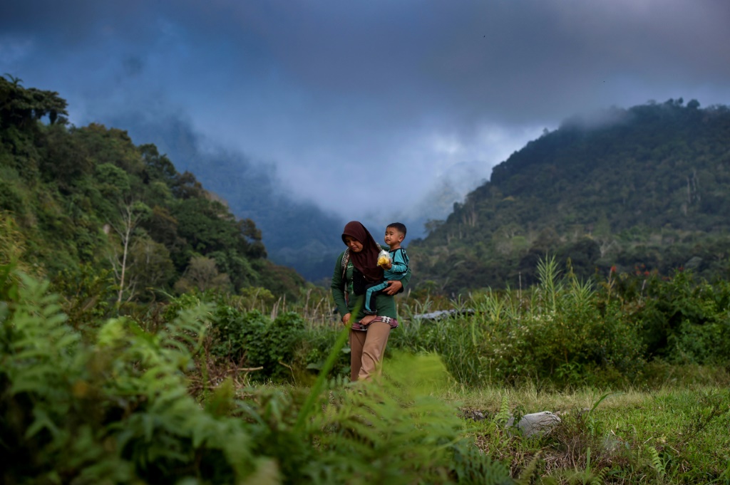 وأبلغت البلاد التي تضم أكبر مساحة من الغابات المطيرة في آسيا عن عام آخر من تباطؤ إزالة الغابات (برس)
