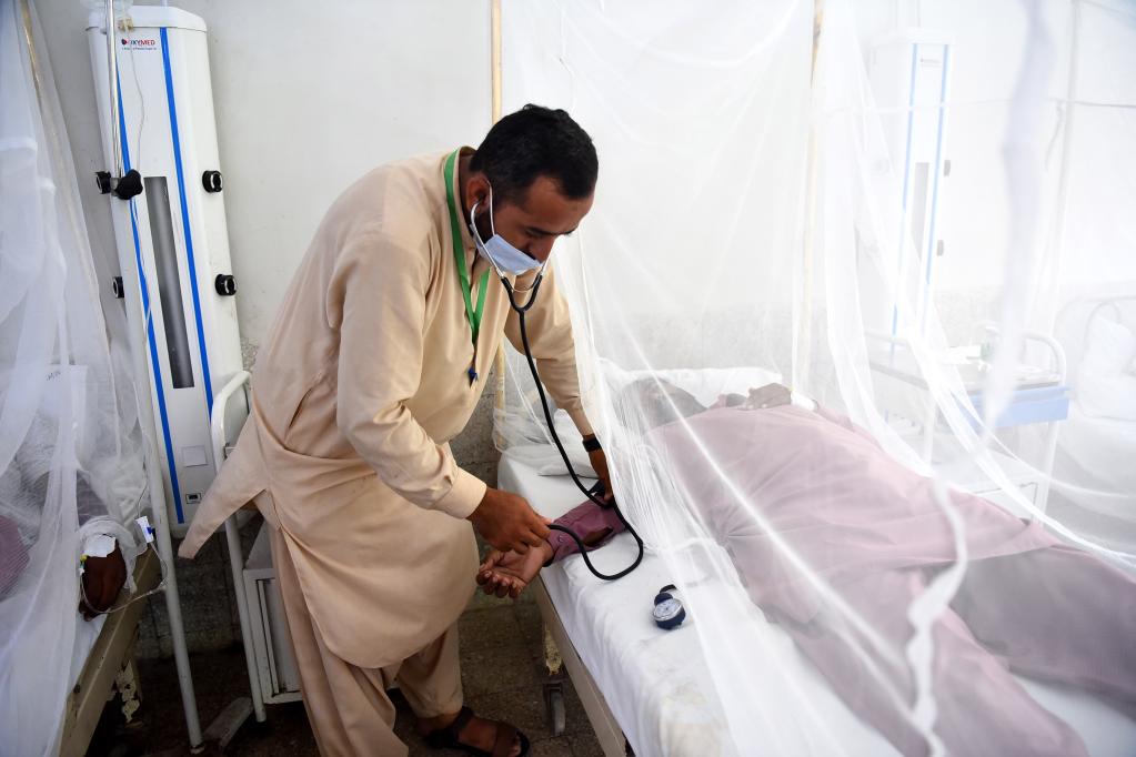 مريض مصاب بحمى الضنك يتم علاجه داخل ناموسية في مستشفى بالعاصمة الباكستانية إسلام أباد يوم 15 سبتمبر 2022. (شينخوا)
