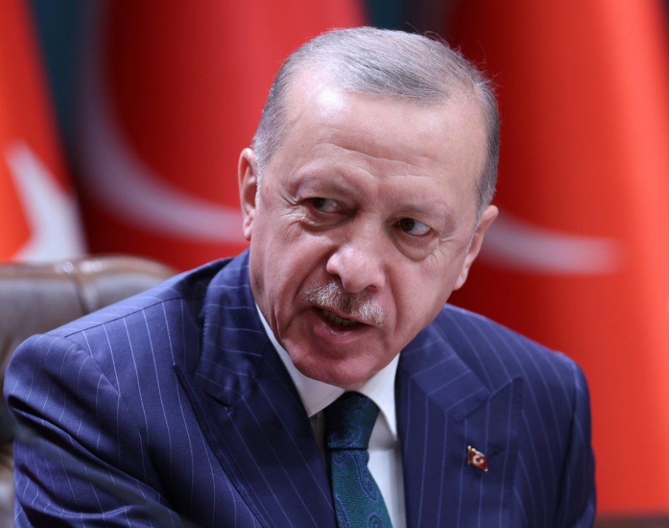    الرئيس التركي رجب طيب اردوغان خلال مؤتمر صحافي في انقرة في 23 تشرين الثاني/نوفمبر 2022 (أ ف ب)