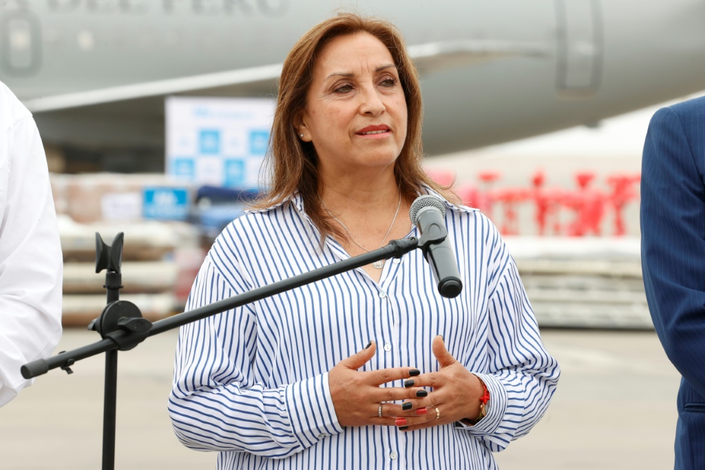 الرئيسة دينا بولوارتي في مطار ليما، في 27 كانون الثاني/يناير 2023 (ا ف ب)
