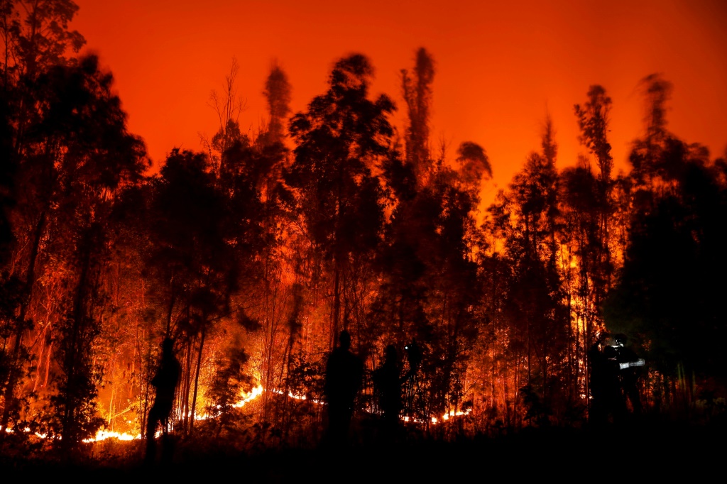 حريق غابات قوي في منطقة أراوكانيا في تشيلي، في 4 شباط/فبراير 2023 (ا ف ب)