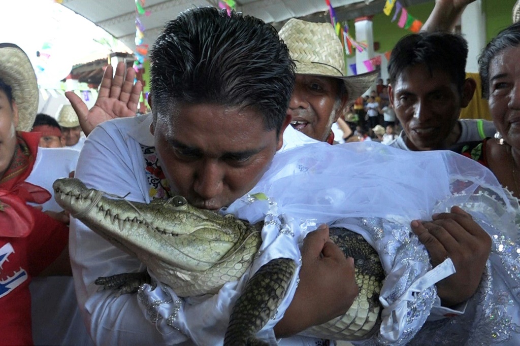 رئيس بلدية سان بيدرو هواميلولا في جنوب المكسيك يقبّل أنثى تمساح كيامن خلال تقليد قديم في 30 حزيران/يونيو 2023 (ا ف ب)