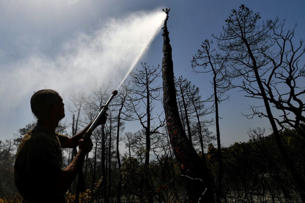     رجل يرش الماء على أشجار محترقة بالقرب من طبرقة بالقرب من الحدود التونسية مع الجزائر (ا ف ب)   