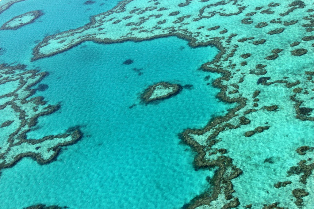 تغير المناخ يضر بالشعاب المرجانية للحاجز المرجاني العظيم (أ ف ب)   
