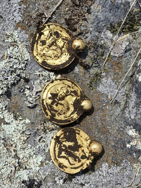 قطع وحبات من الذهب تعود إلى القرن الخامس، اكتشفها عالم آثار هاو في النروج. الصورة التُقطت في السابع من أيلول /سبتمبر 2023 ونشرتها جامعة ستافنجر (ا ف ب)