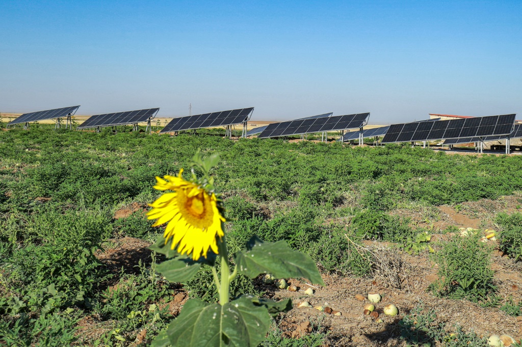 ألواح للطاقة الشمسية قرب حقل مزروع بالبطيخ في الحدادية في شمال شرق سوريا في 24 أيلول/سبتمبر 2023 (ا ف ب)