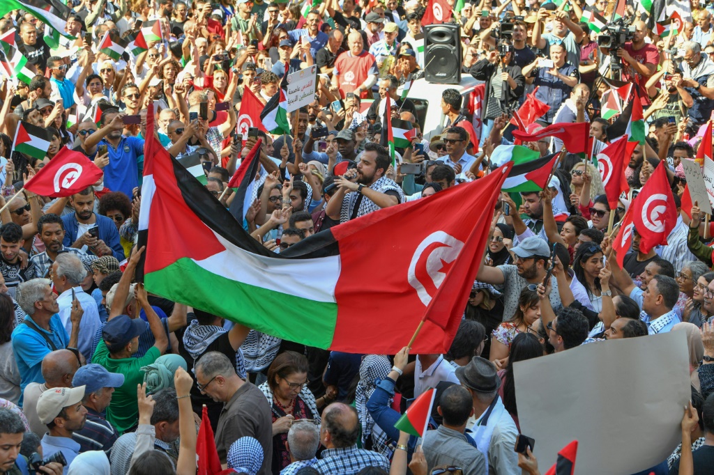 الالاف من التونسيين يتظاهرون تضامنا مع الفلسطينيين. تونس في 10 تشرين الأول/أكتوبر 2023. (أ ف ب)   