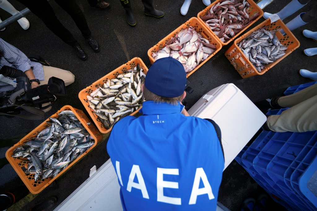 عالم من الوكالة الدولية للطاقة الذرية يتفقد الأسماك في سوق بميناء هيسانوهاما في إيواكي بمنطقة فوكوشيما (شمال شرق اليابان) في 19 تشرين الأول/أكتوبر 2023 (ا ف ب)