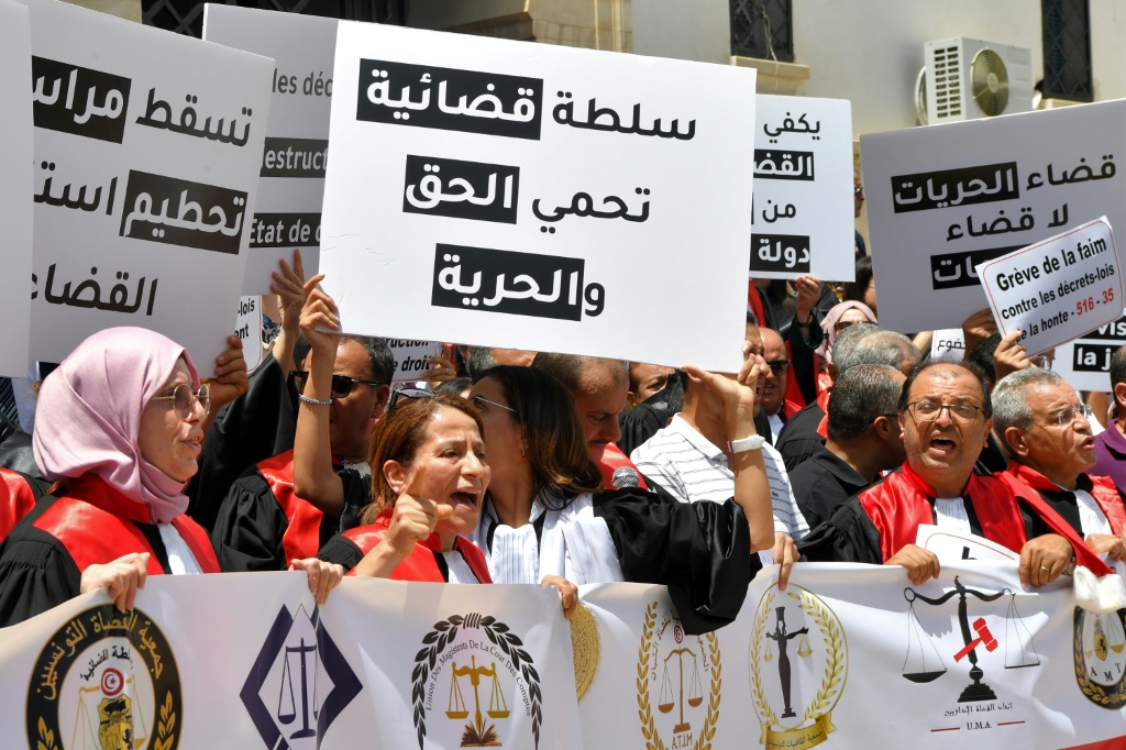 التظاهرة نظمت بدعوة من النقابة الوطنية للصحفيين التونسيين (مستقلة)، بالتزامن مع محاكمة الهاني بتهمة الإساءة إلى وزيرة التجارة كلثوم بن رجب (أ ف ب)