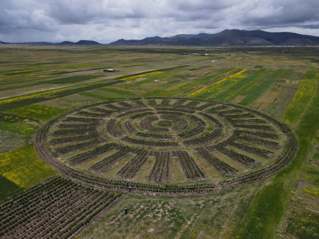 منظر جوي يظهر نظامًا زراعيًا ما قبل الإسبان يسمى وارو وارو، في حقل بمنطقة أكورا في بونو، بيرو، في 6 فبراير 2024. (ا ف ب)