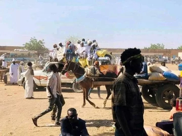 الأزمة الإنسانية في السودان  (سبوتنيك)