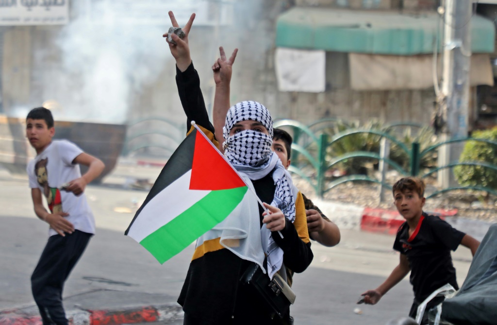 البرازيل تطالب العدل الدولية باعتبار احتلال إسرائيل لفلسطين 