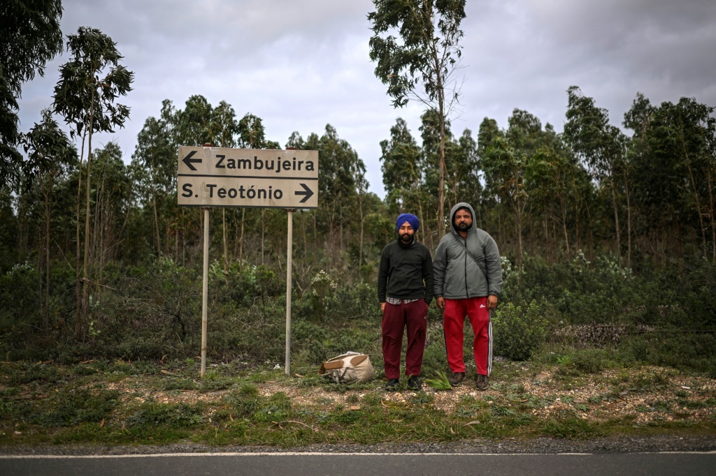 الأرض الموعودة: عاملان زراعيان من جنوب آسيا في ساو تيوتونيو، البرتغال (أ ف ب)   