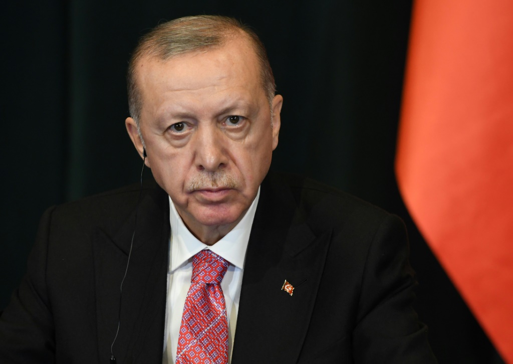 وشدد الرئيس أردوغان على ضرورة العمل المشترك للدول الإسلامية لوقف الحرب الإسرائيلية على غزة في هذه المرحلة (أ ف ب)
